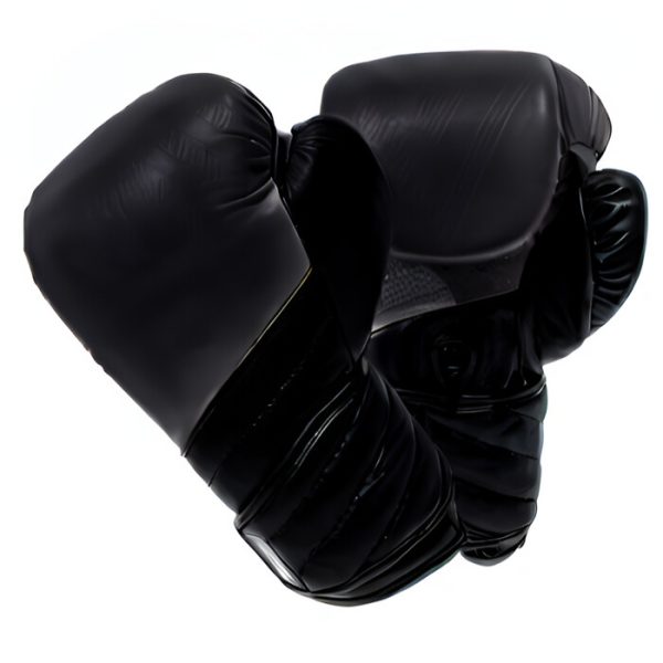 Gants De Boxe Ultimate Cuir Noir V6 RD BOXING