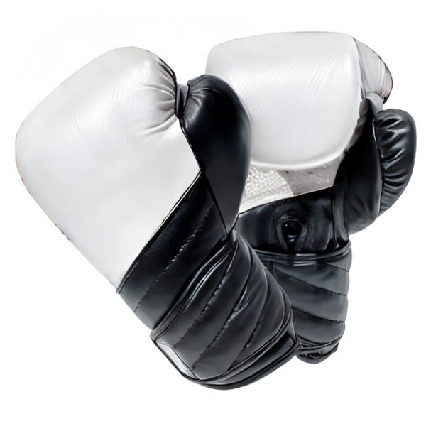 Gants De Boxe Ultimate Cuir Blanc V6 RD BOXING